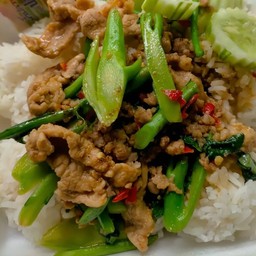 ข้าวคะน้าหมูชิ้น