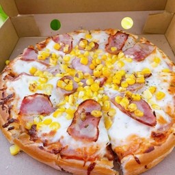 เบคอนคอนซีส XL