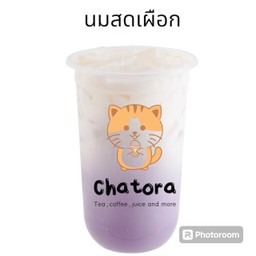นมเผือก