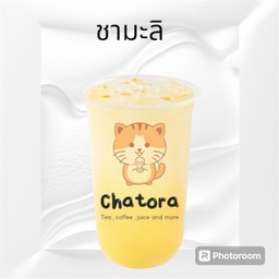 ชาเขียวมะลิ
