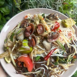 ตำป่าหอยแครง