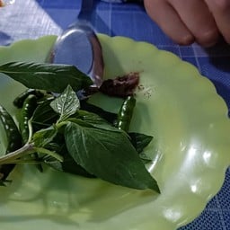 ก๋วยเตี๋ยวโกเด้ง ปากซอย 3 salaya