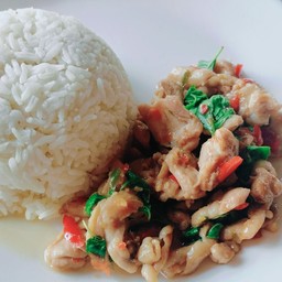 ข้าวกะเพราไก่