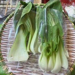 ฮ่องเต้