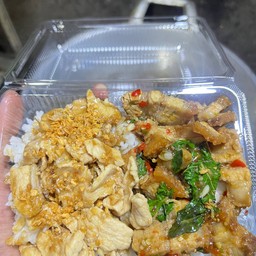 หมูกระเทียมรวมผัดกะเพรา