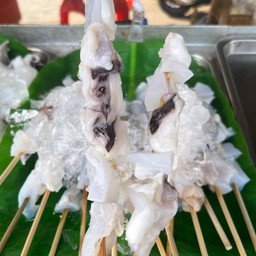 เอ็นแก้วปลาหมึก