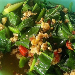 ผัดคะน้าหมูสับราดข้าว