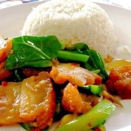 ข้าวคะน้าหมูกรอบ