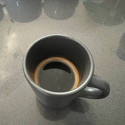 Daisy cats coffee