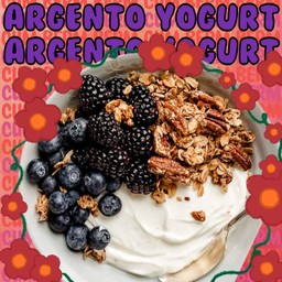 Yogurt homemade - Argento
