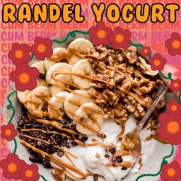 Yogurt homemade - Randel