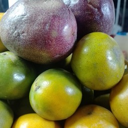 เสาวรส+ส้ม