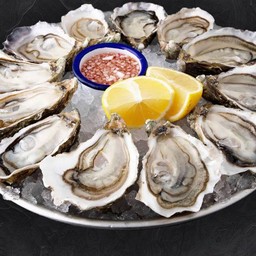 6 OYSTERS FINES DE CLAIRES N4