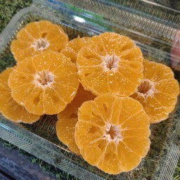 ส้มสายน้ำผึ้ง .พร้อมทาน