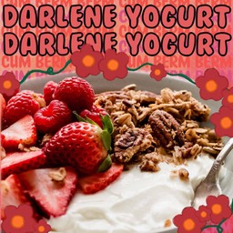 Yogurt homemade - Darlene