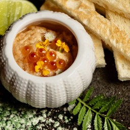 ทารามะปะการังเม่นทะเล (อูนิ)