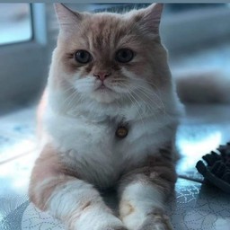 ทิปน้องม่อน