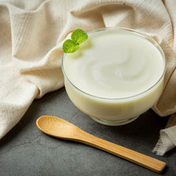 โยเกิร์ต