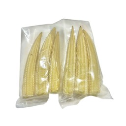 ข้าวโพดอ่อน