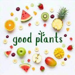 good plants