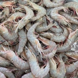 กุ้ง