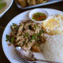 ข้าวกะเพราเป็ด