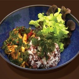 ข้าว กะเพราเห็ดออเรนจิ