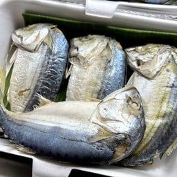 ดา ปลาทูแม่กลอง ตลาดแม่กลอง