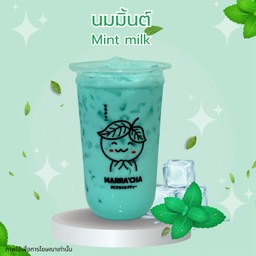 นมสดมิ้นท์