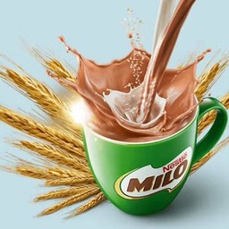 ไมโลนมสดร้อน