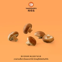 #MS03-เห็ดหอม(30กรัม)