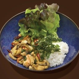 ข้าว กะเพรา กุ้ง-ทะเบ พริกแห้ง