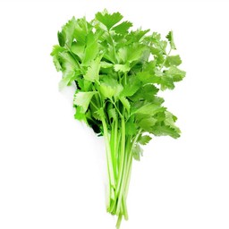 ผักขึ้นฉ่าย