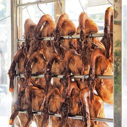 เป็ด 1 ตัว