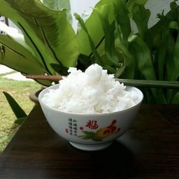 #M008-ข้าวสวย (1ที่ )