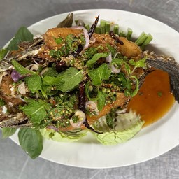 ปลาช่อนน้ำตก