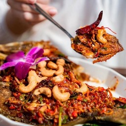 ปลากระพงช.ช้าง