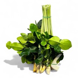 ข่า+ตะไคร้+ใบมะกรูด