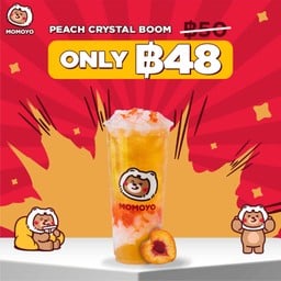 momoyo ice cream - หลังมช.
