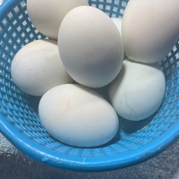 ไข่เค็ม