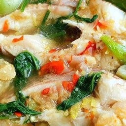 แกงอ่อมปลากระพงปลาร้า/ถ้วย