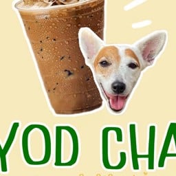 หยดชา (Yod Cha) - สันติธรรม