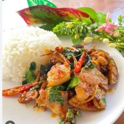 ข้าวผัดเผ็ดหมูป่า
