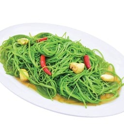 ผัดผักบุ้งฝอย