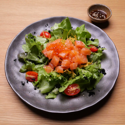 สลัดแซลมอน (D)