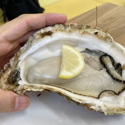 Oyster หอยนางรม1ตัว