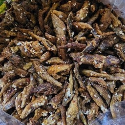 ปลากรอบ