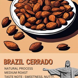 เมล็ดกาแฟ Brazil Cerrado (คั่วกลาง)