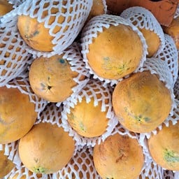 น้องข้าวหอม ผลไม้ตามฤดูกาล