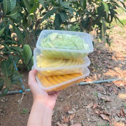 บ้านผลไม้ปอก kunpan🍏🍊🍉 เพรชเกษม58